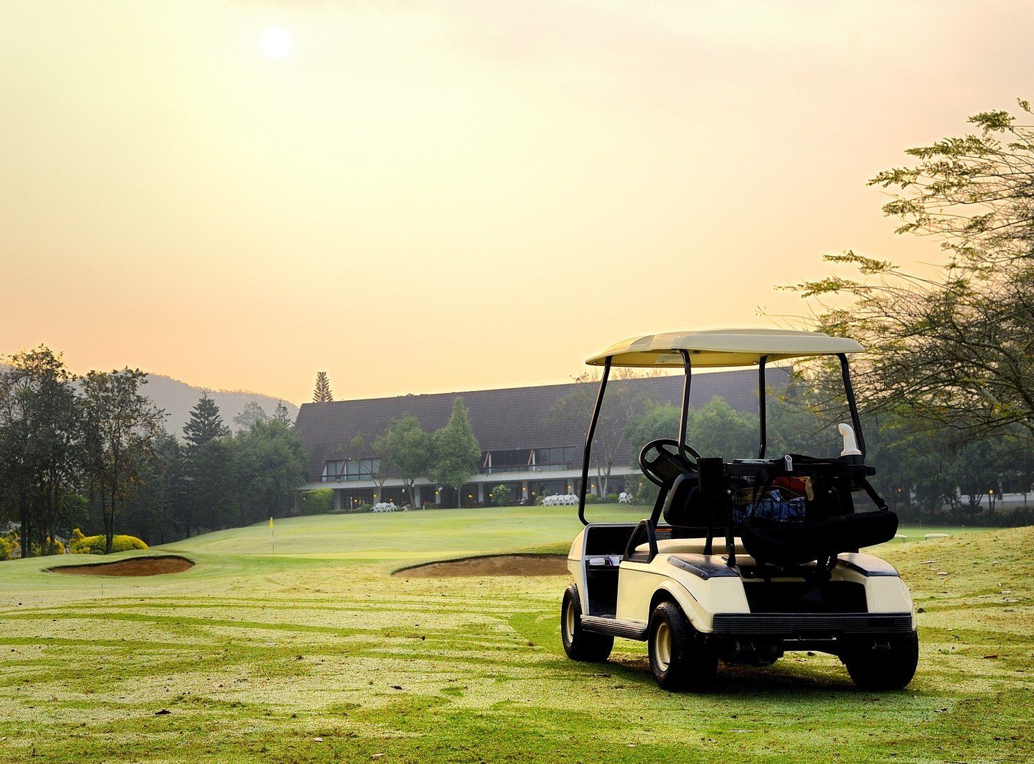 Golf club cart