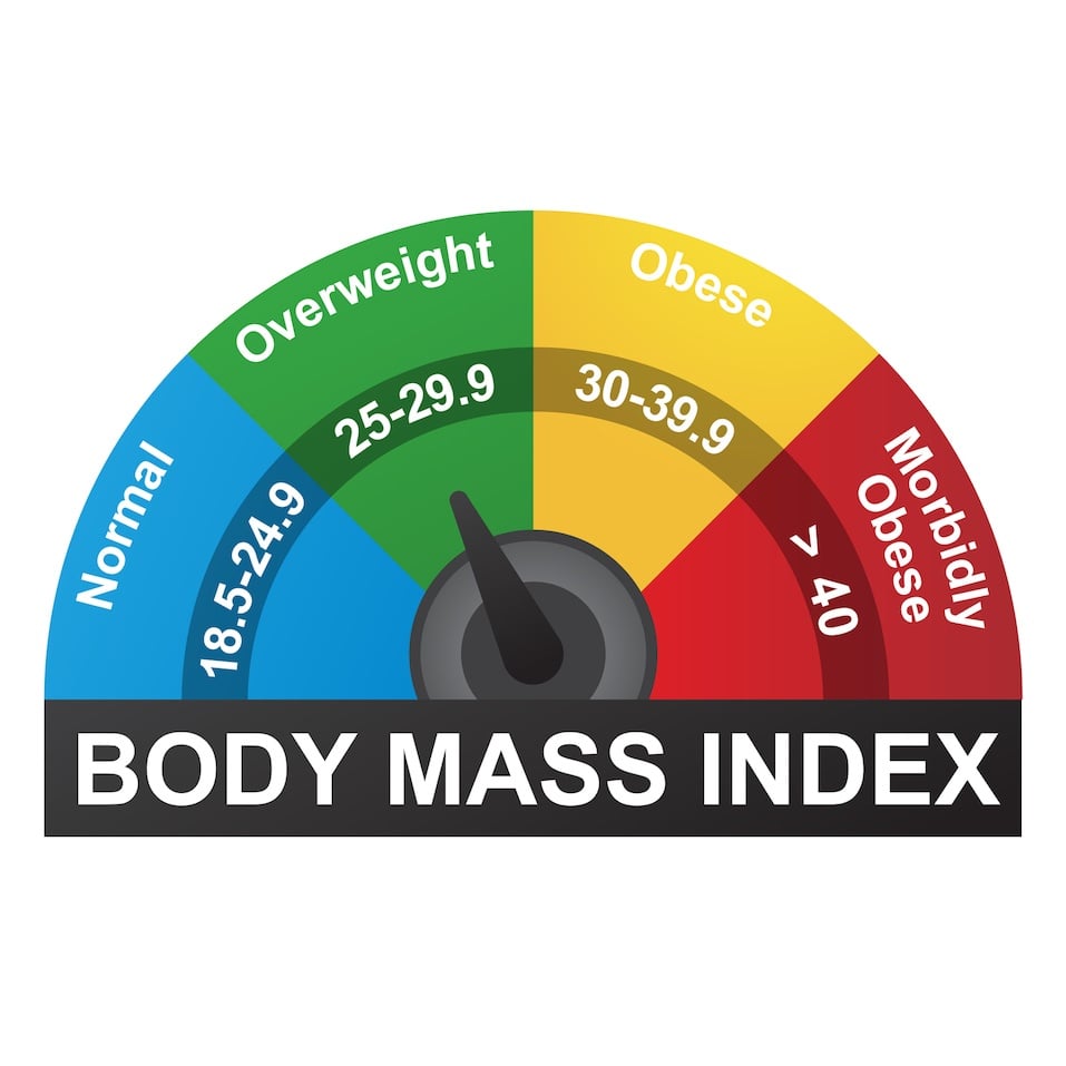 BMI or Body Mass Index Infographic Chart