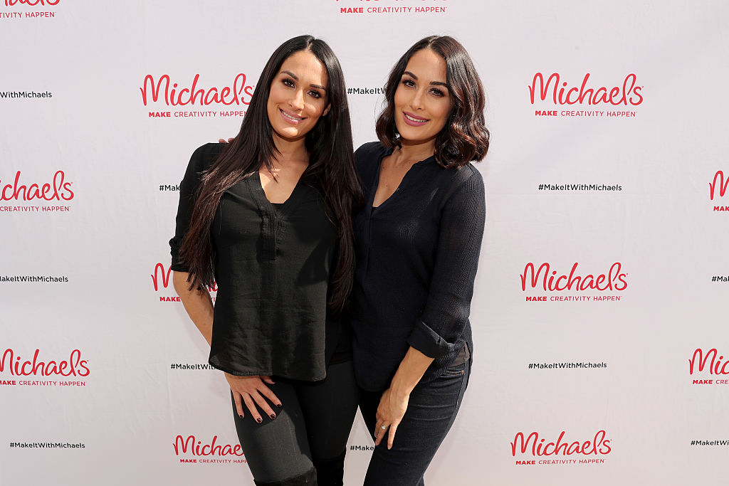 WWE superstars Nikki Bella and Brie Bella