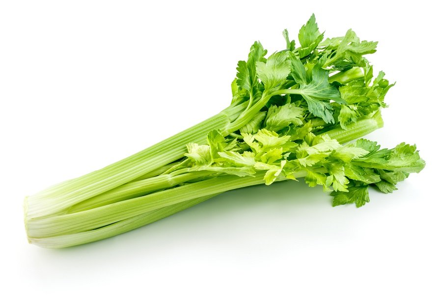 Celery Celery