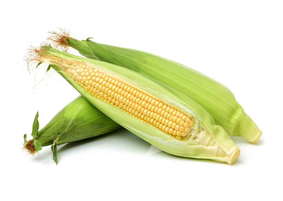 corn on the cob