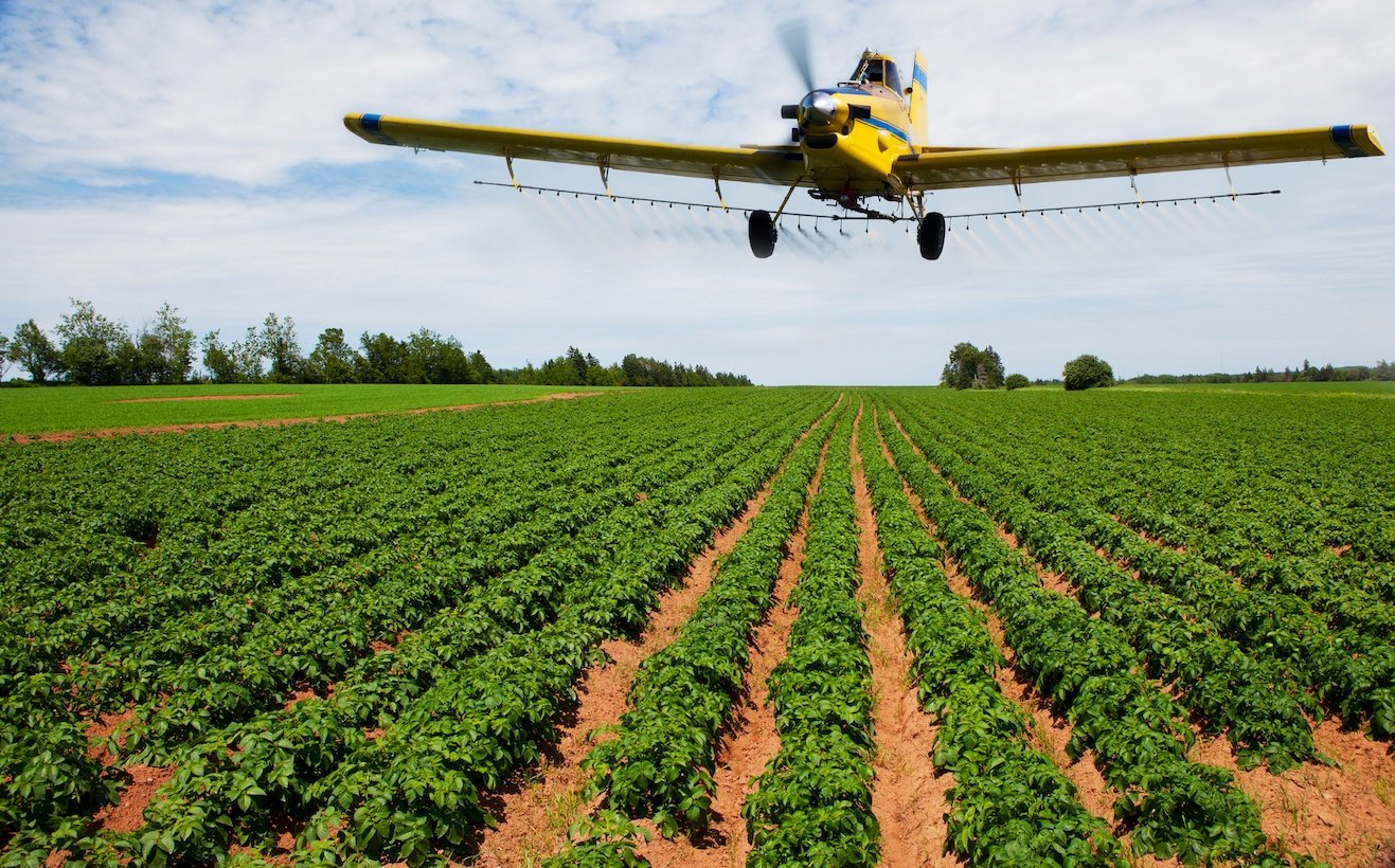 Yellow plane dusting green crops on a large farm