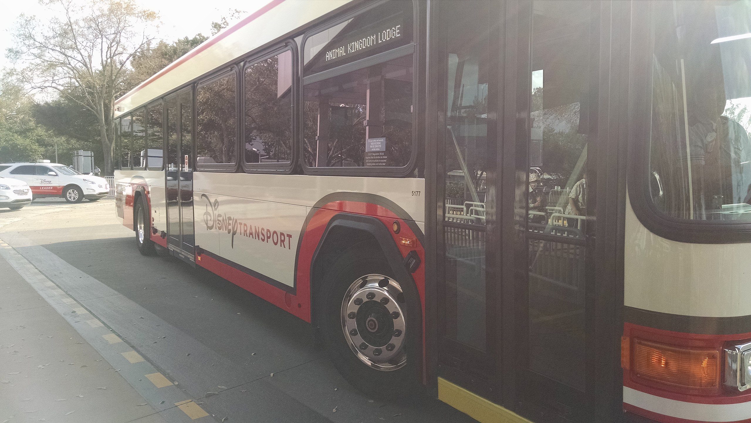 Disney bus transport