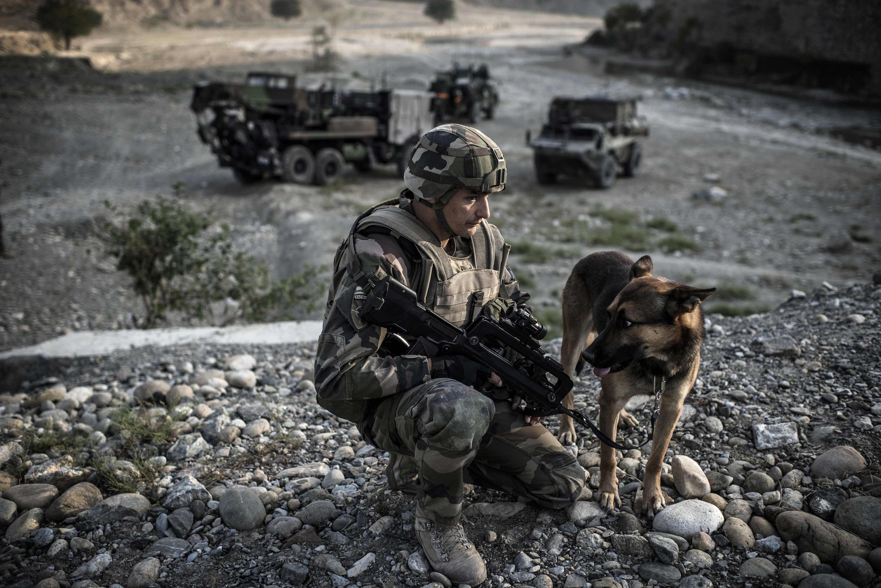 A French soldier crouches beside a dog before the passing of a convoy