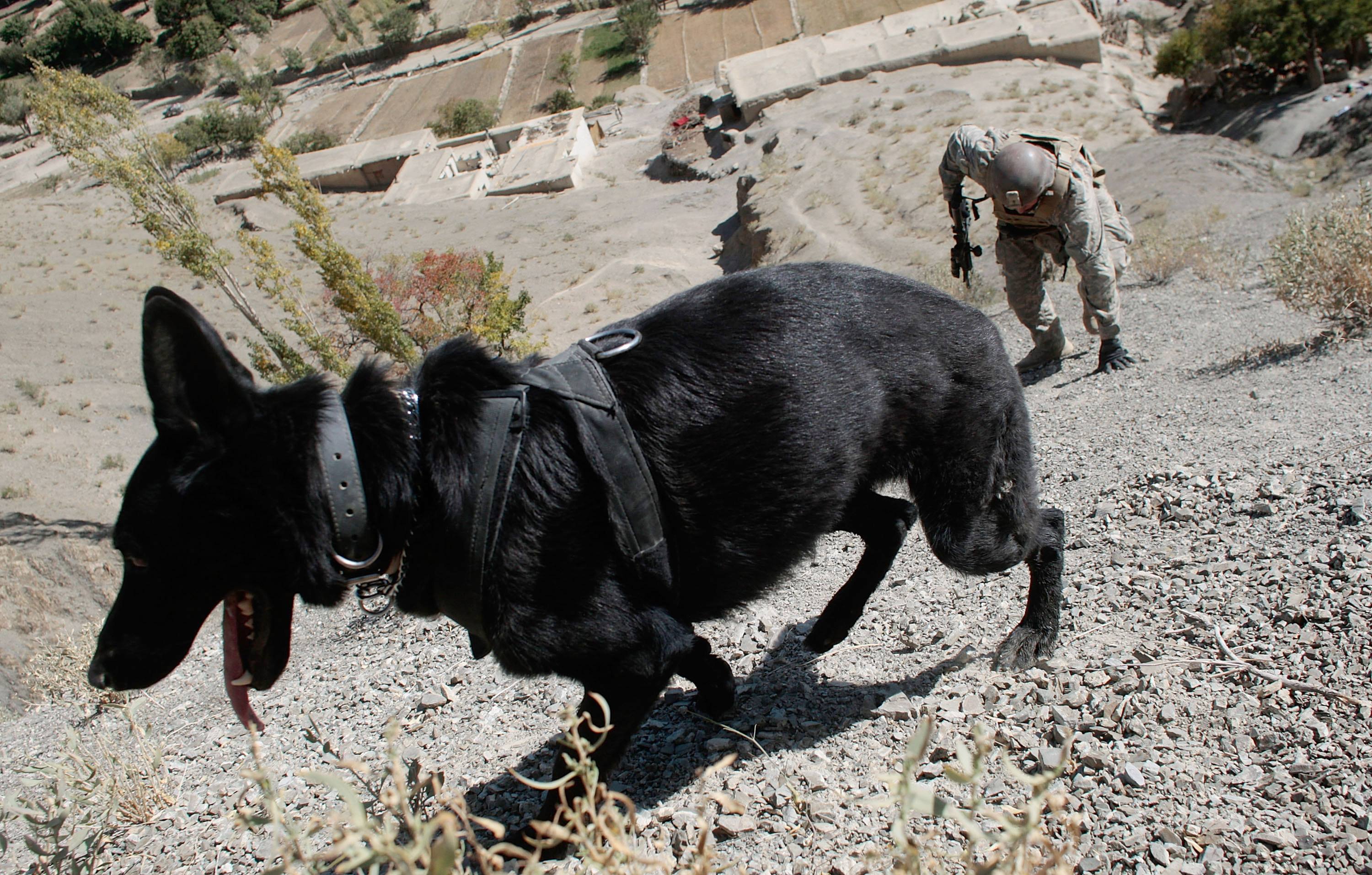 US Army Searches For Militants In Mountains of Afghanistan