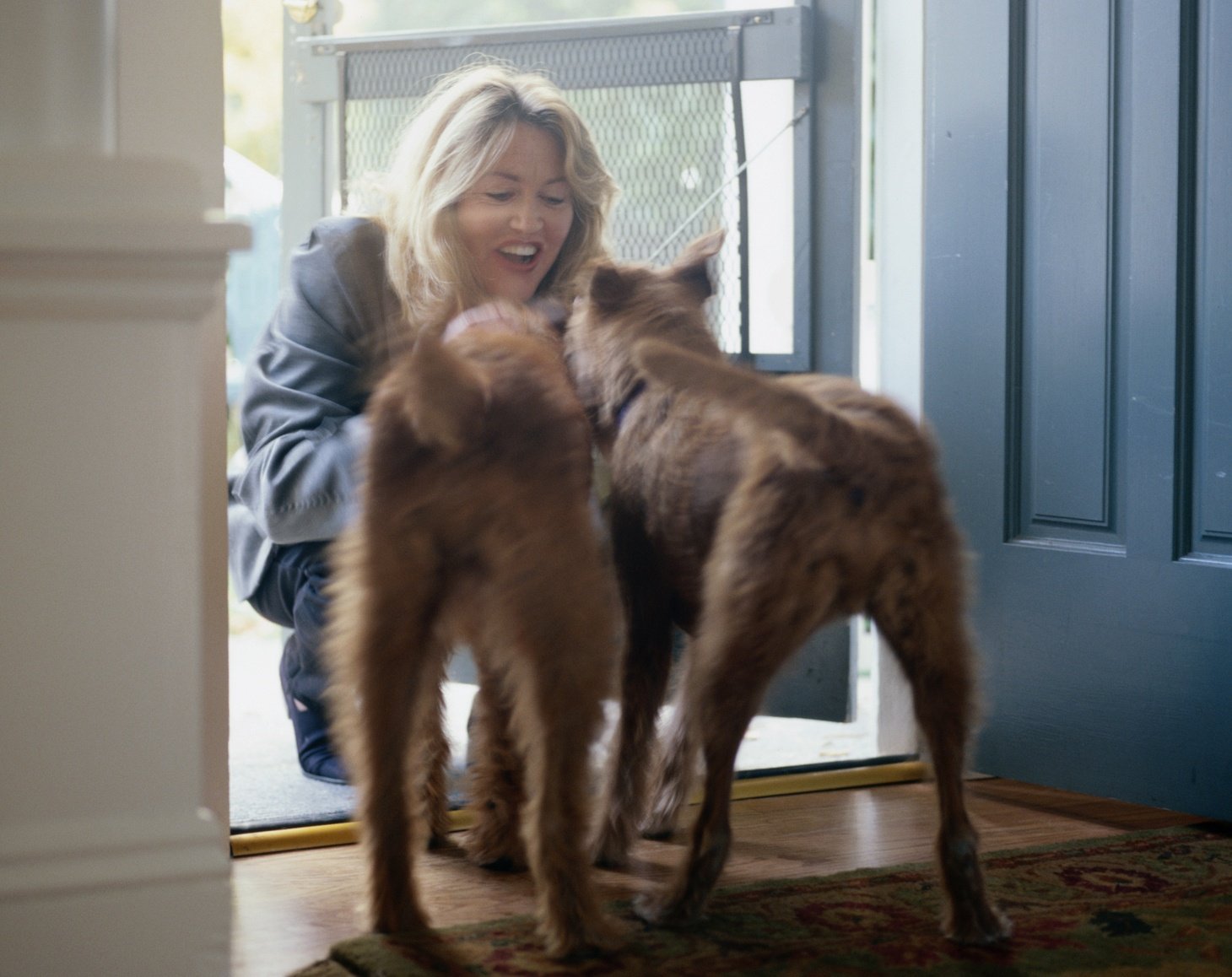 Woman Greeting Irish Terriers at Front Door