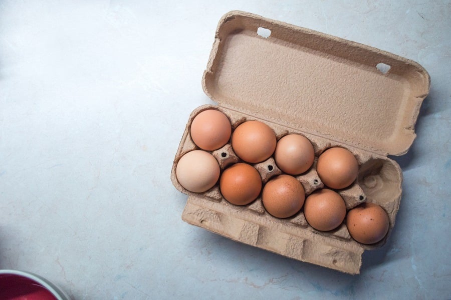 Egg Container Egg Container