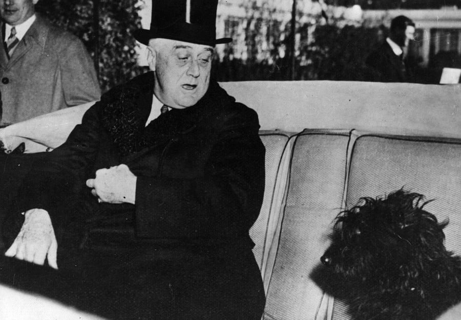 Franklin Delano Roosevelt in his car with his Scottish terrier, Mr Falla. Franklin Delano Roosevelt in his car with his Scottish terrier, Mr Falla.