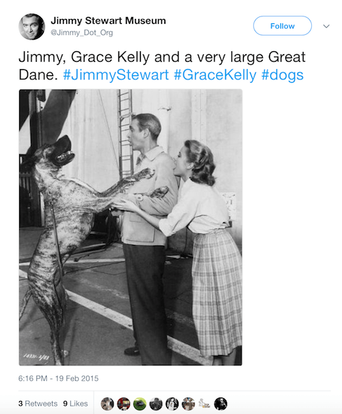 Grace Kelly's dog featured in a photograph. Grace Kelly's dog featured in a photograph.