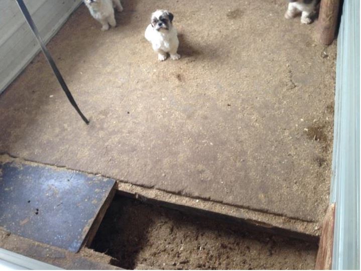 Puppy mill wisconsin