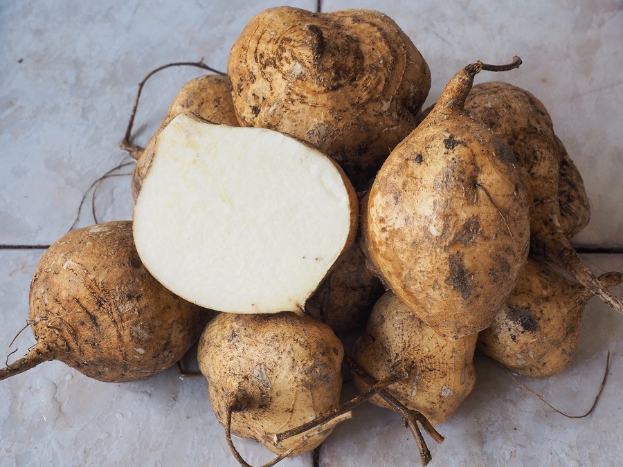 Jicama Jicama