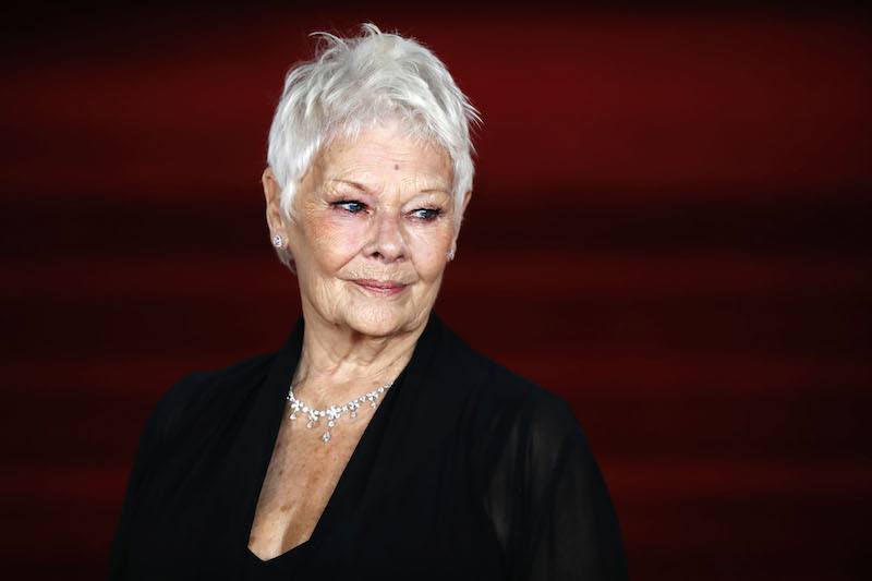 Judi Dench posing on a red carpet. Judi Dench posing on a red carpet.