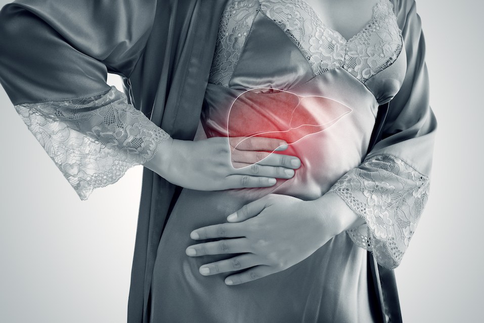 Photo of a liver within a woman's body Photo of a liver within a woman's body