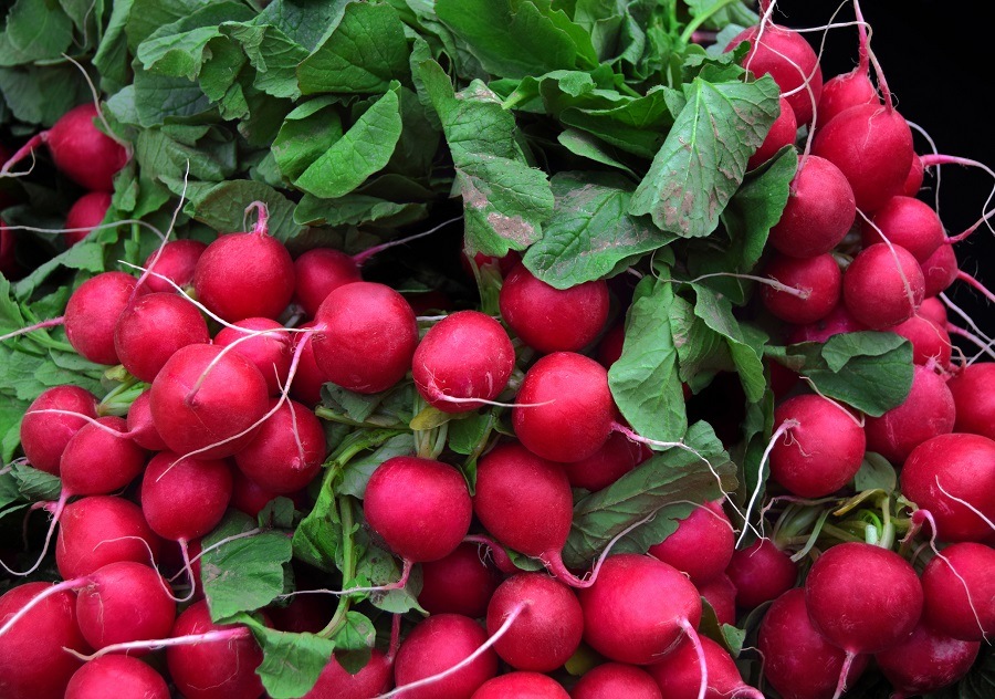 Radishes Radishes