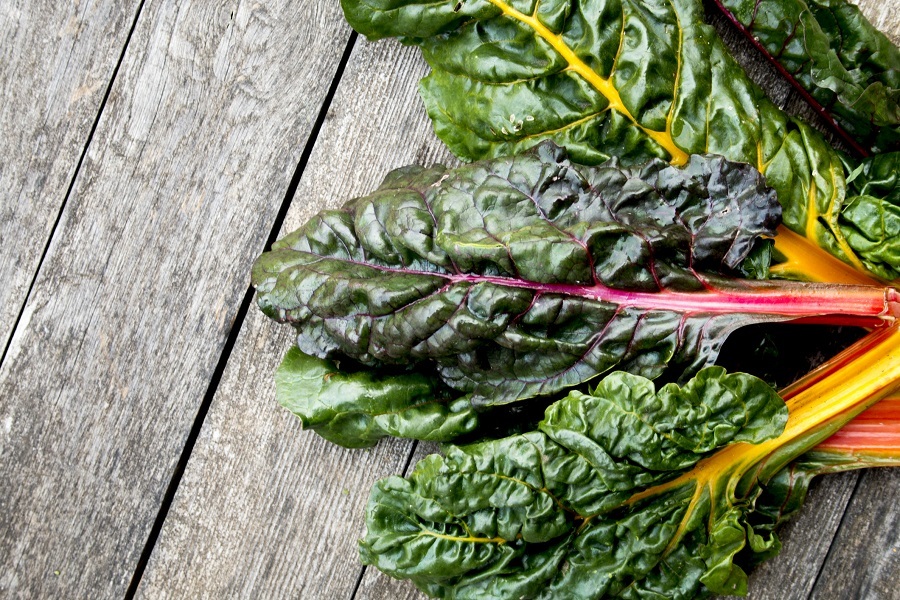 Swiss Chard Swiss Chard