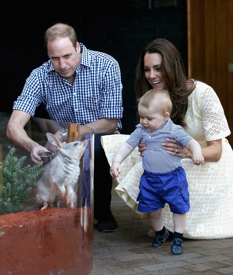 Catherine, Duchess of Cambridge holds Prince George of Cambridge as Prince William, Duke of Cambridge look whilst meeting a Bilby called George at Taronga Zoo