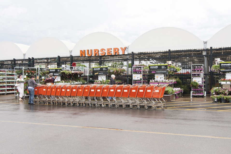The Home Depot Nursery