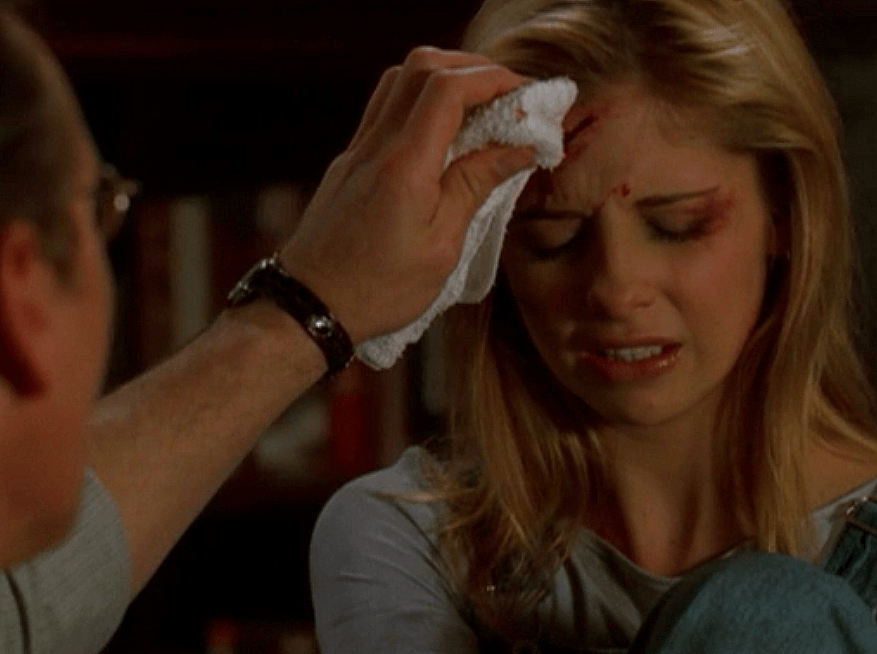 Buffy the Vampire Slayer Buffy the Vampire Slayer