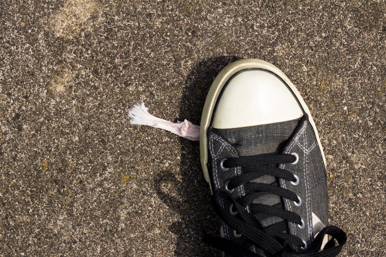 Chewing Gum and Shoe
