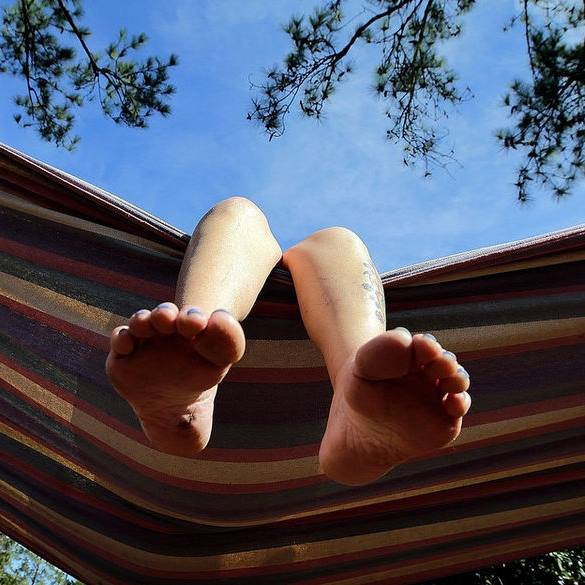hammock
