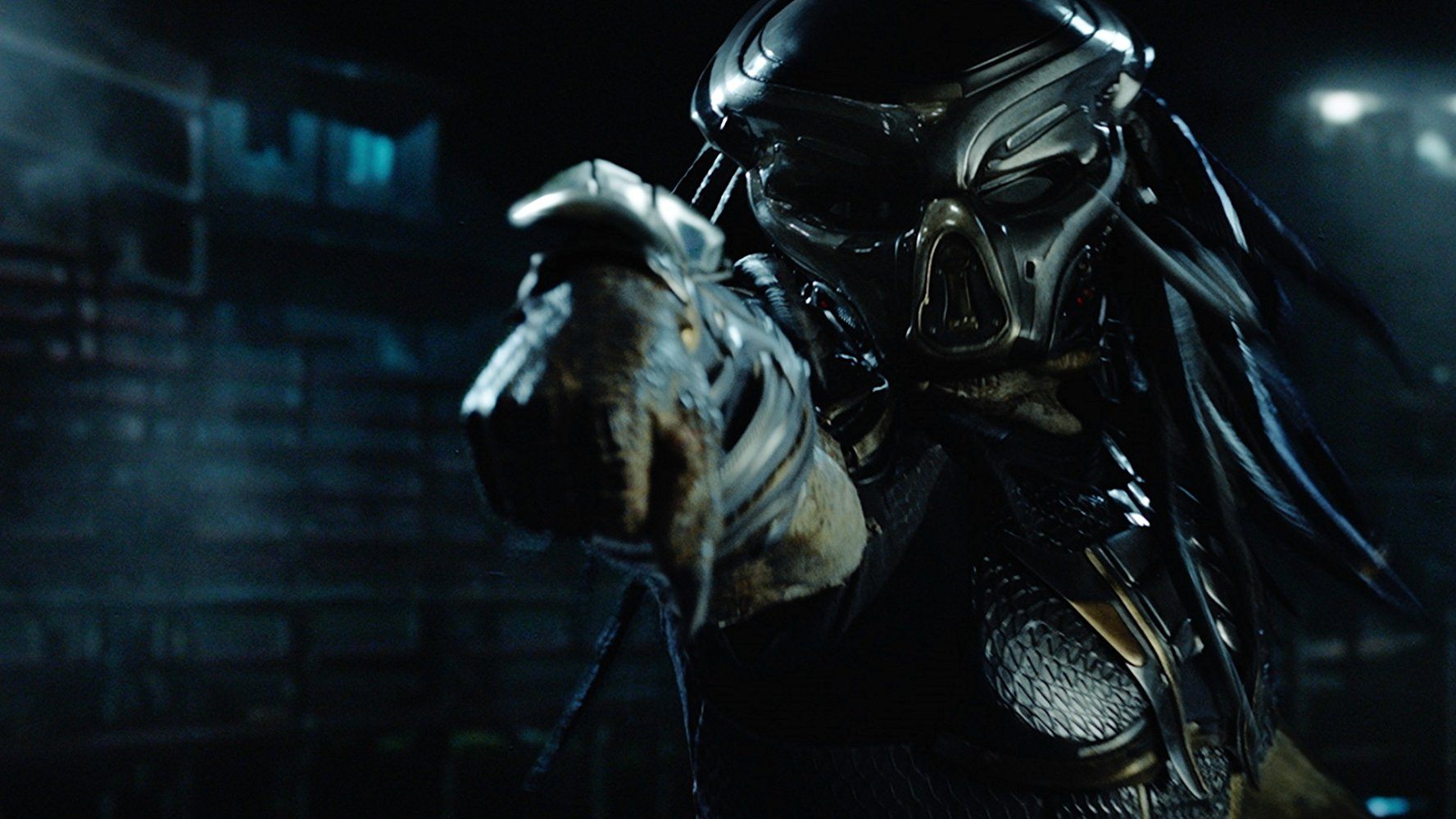 The Predator The Predator