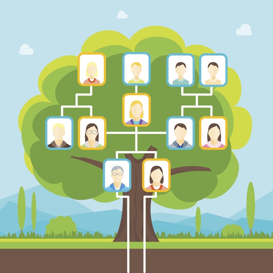 Family Tree Family Tree
