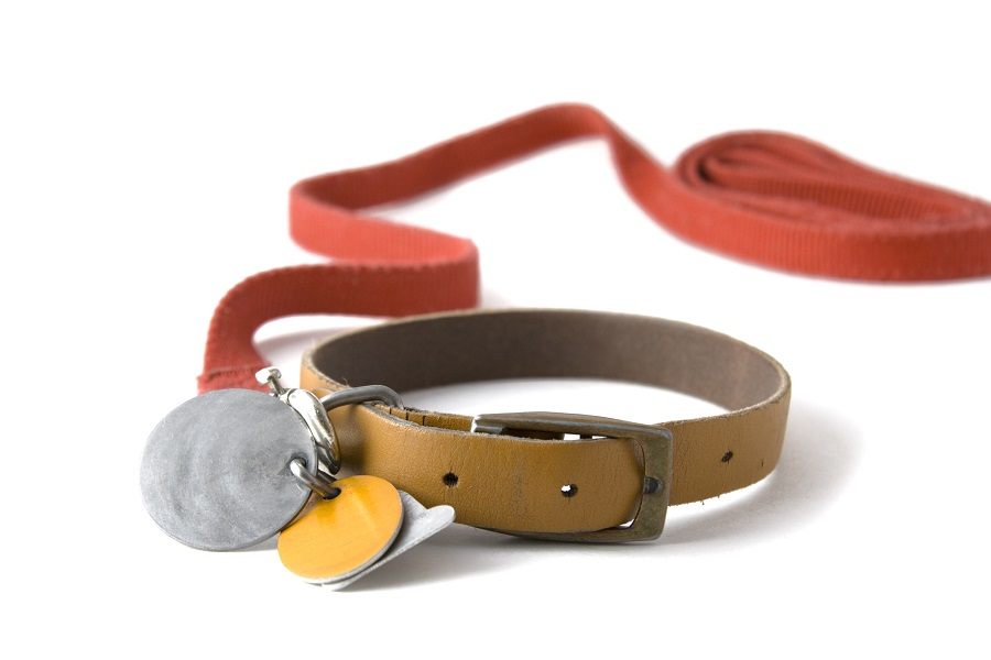 Leather dog collar Leather dog collar