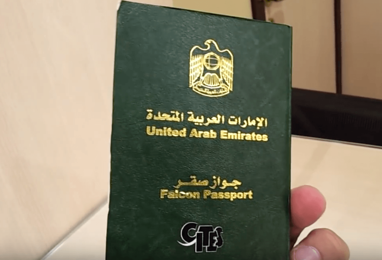 Falcon passport