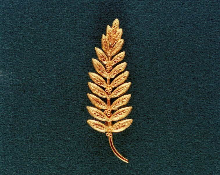 Golden olive branch