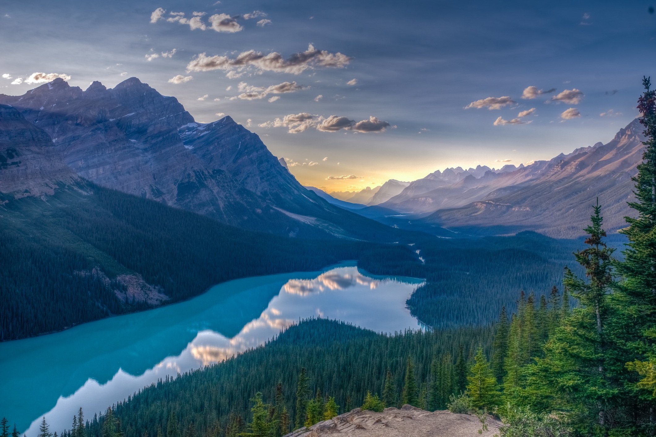 View of Peyto Lake, Jasper National Park, Canadian Rockies