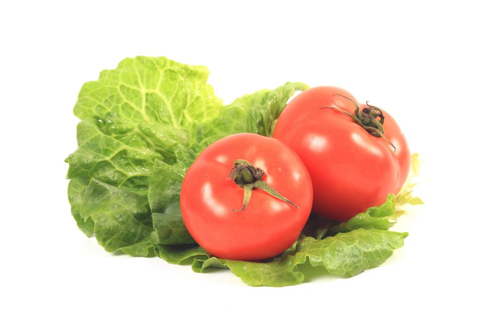 Lettuce and tomatos on white background