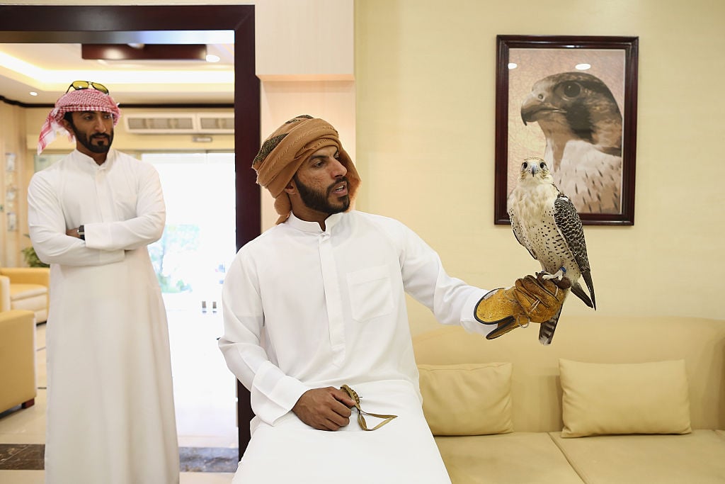 Falcon owners wait to check in their birds at the Abu Dhabi Falcon Hospital