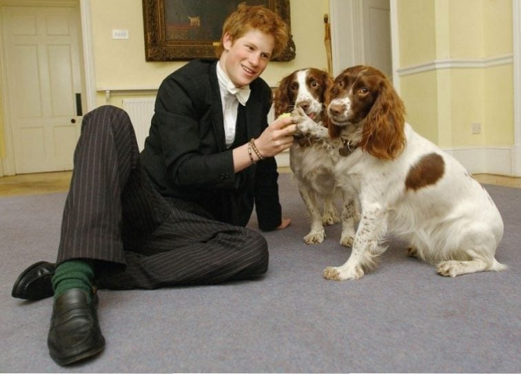 Prince Harry