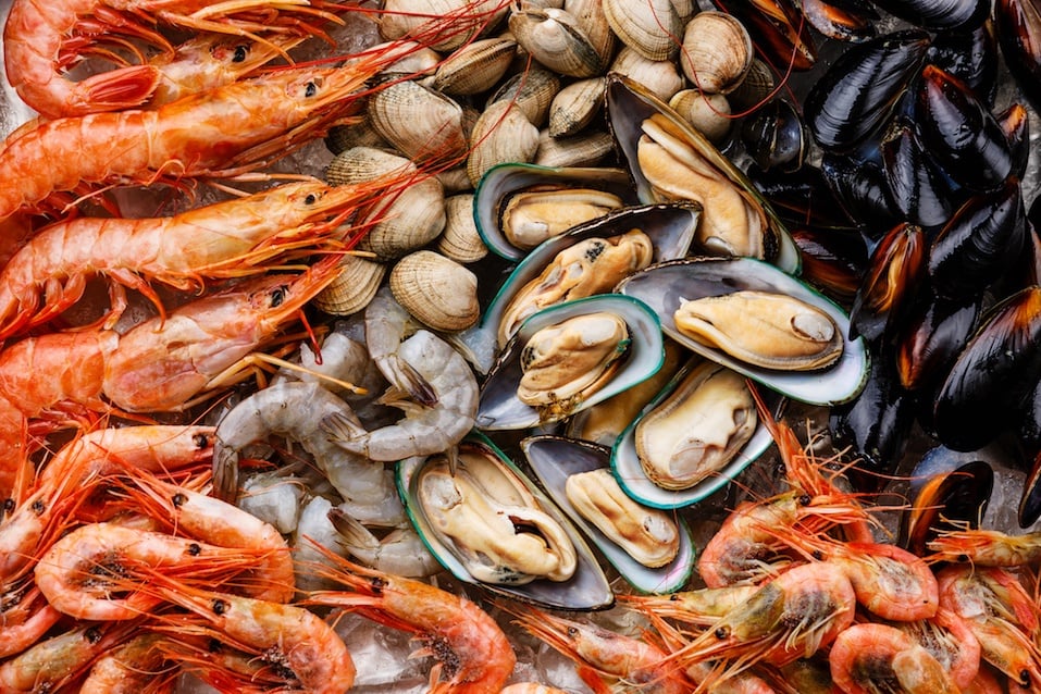 Shellfish Shellfish