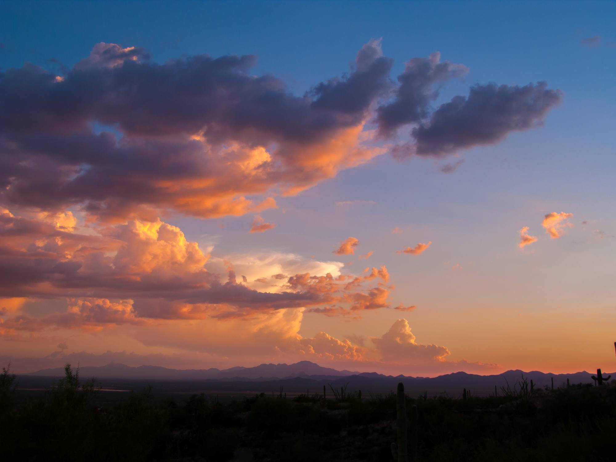 Sunset in Mexico Sonoran Desert
