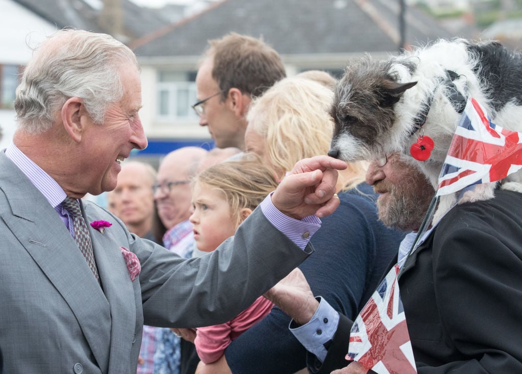 Prince Charles, Prince of Wales greets Sophie, a three year old Jack Russell Terrier Prince Charles, Prince of Wales greets Sophie, a three year old Jack Russell Terrier