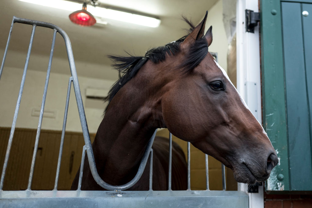 Yoshida before the Royal Ascot