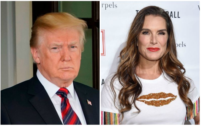 Donald Trump and Brooke Shields composite image