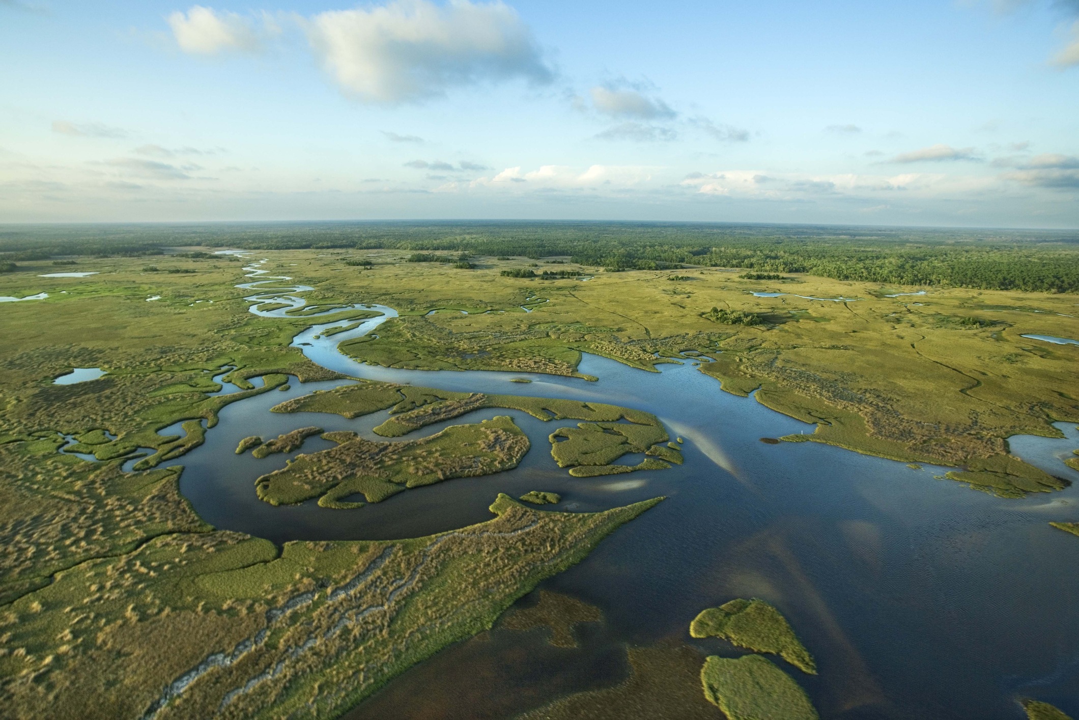 Florida Everglades