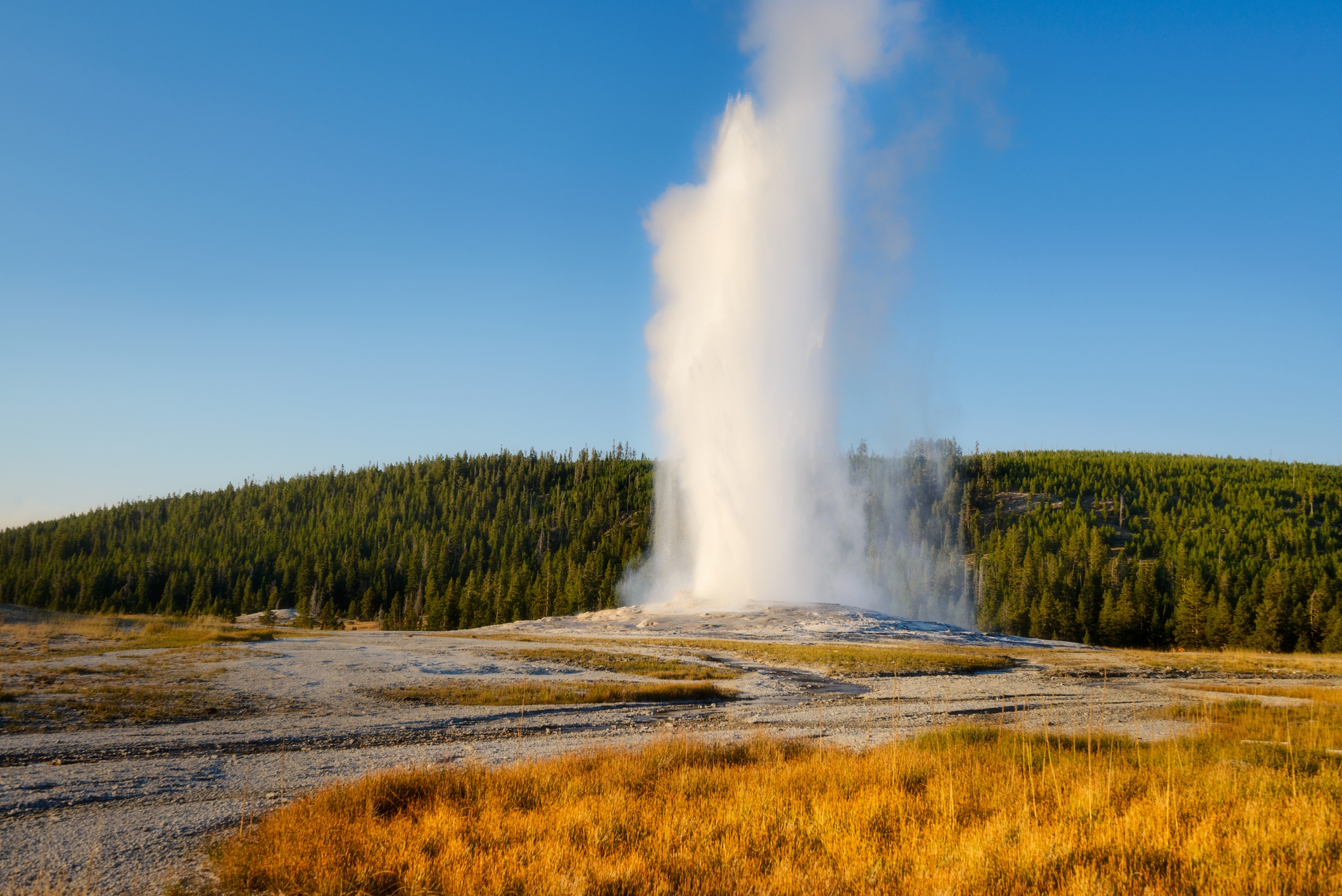 Old Faithful geyser