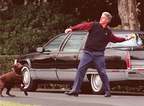 Bill Clinton throws a ball for his dog