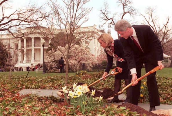Bill and Hillary plant a tree
