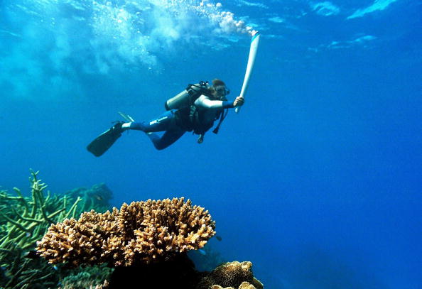 Wendy Craig Duncan carries the Olympic Torch underwater in the Great Barrier Reef