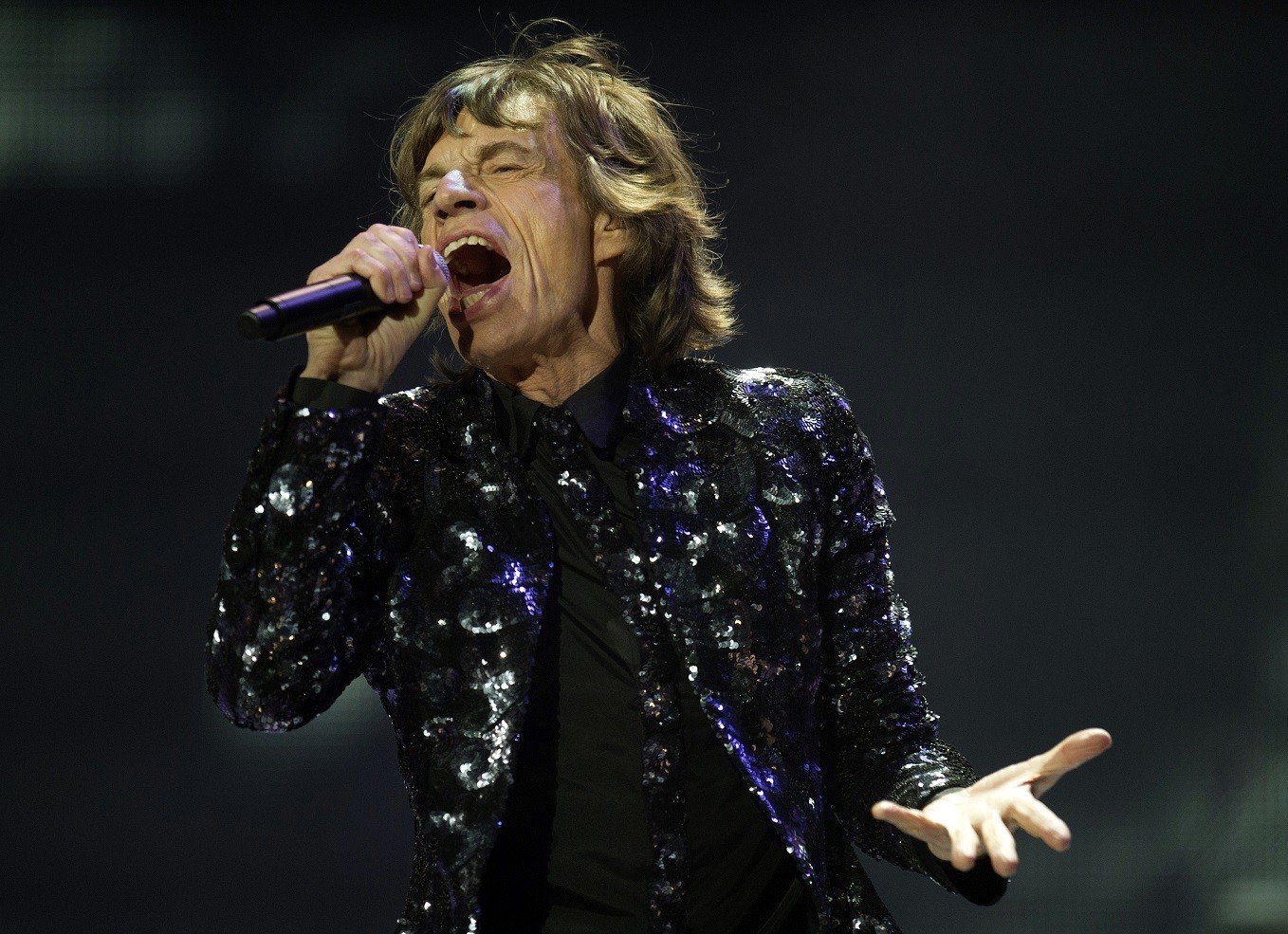 Mick Jagger 2012