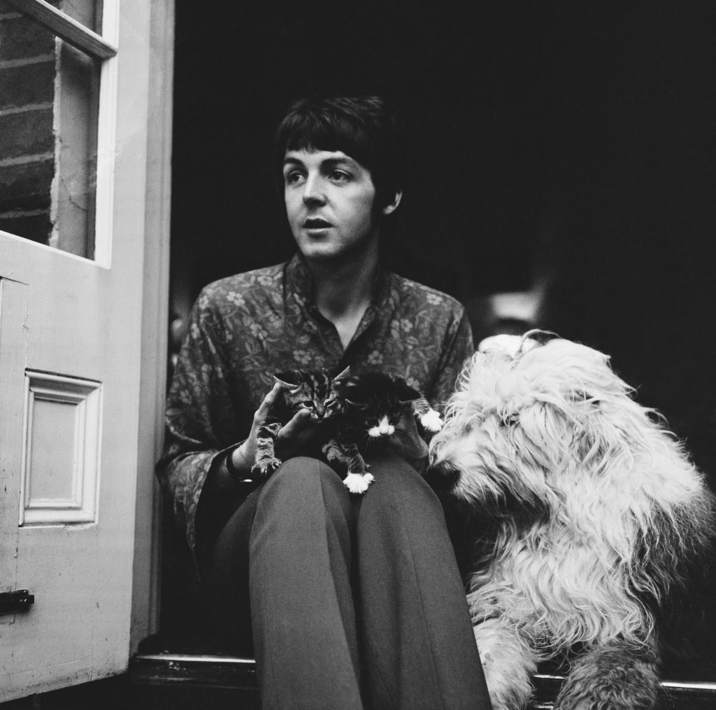 English singer-songwriter and musician Paul McCartney with his dog, English Sheepdog Martha, and two kittens