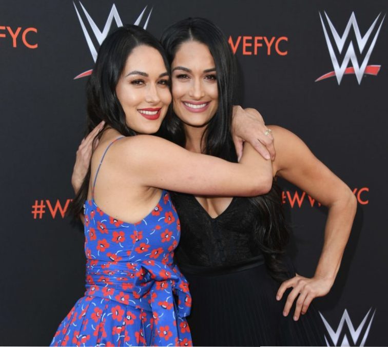 Nikki and Brie Bella - Bella Twins