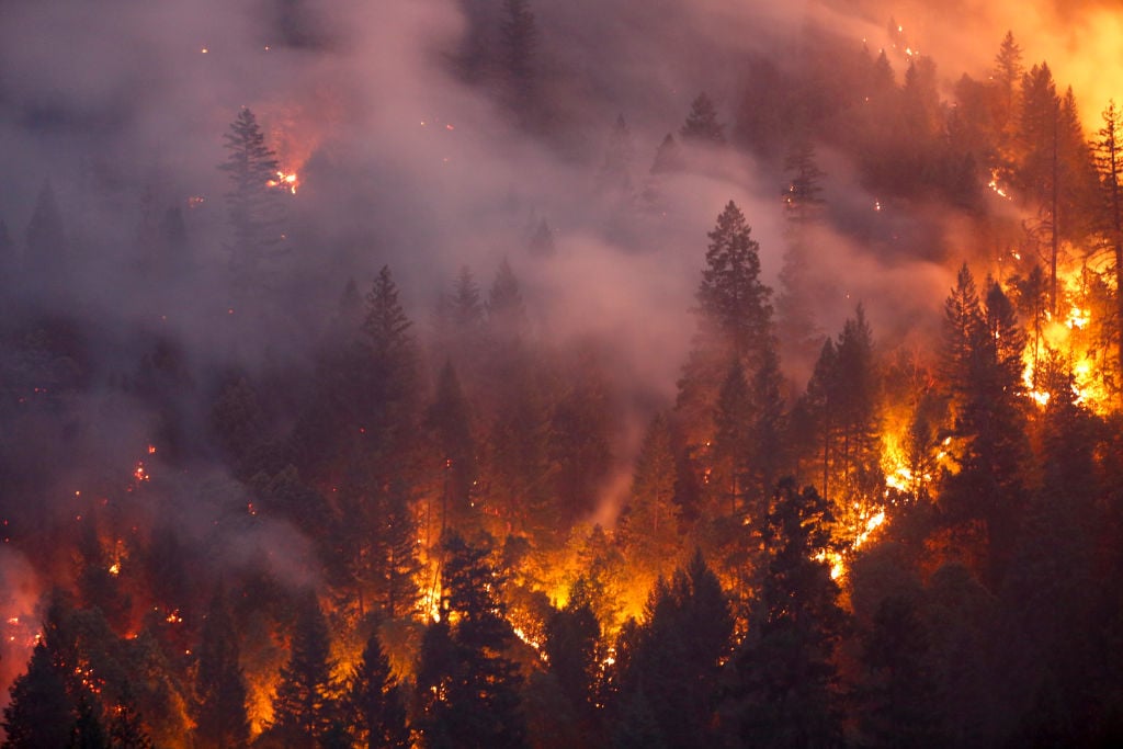 The Worst Wildfires in American History