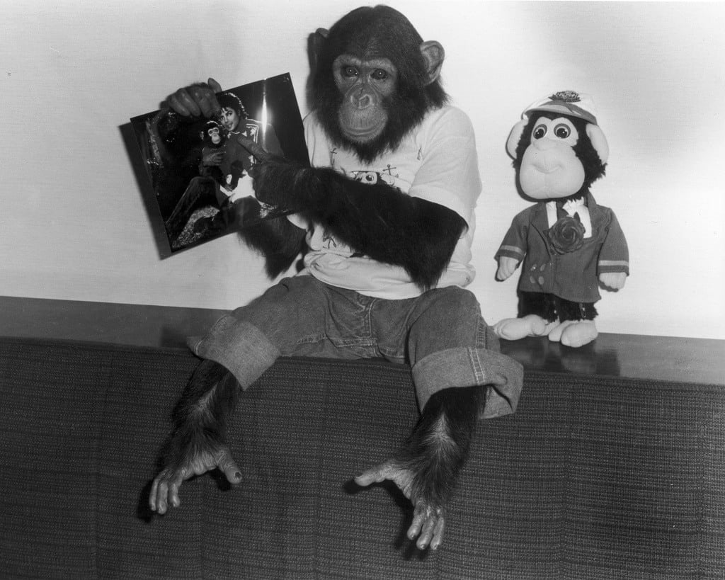Bubbles the chimpanzee holds a photo of owner, Michael Jackson