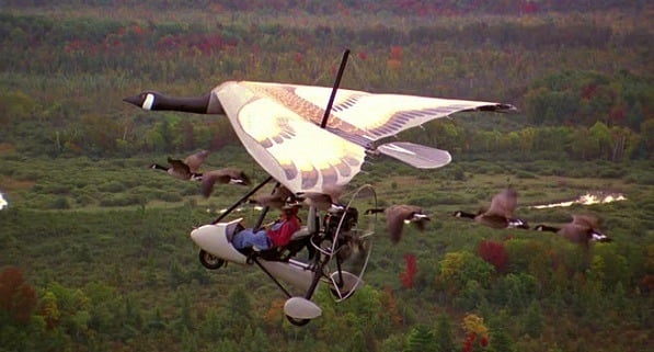 Fly Away Home