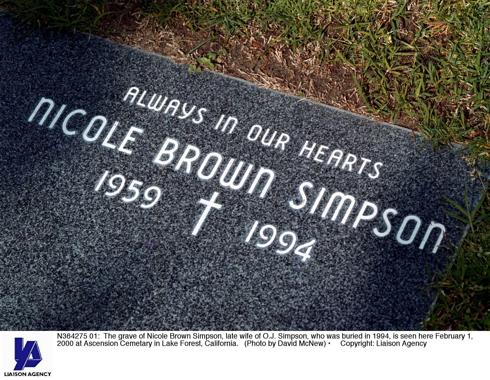 OJ Simpson case OJ Simpson case